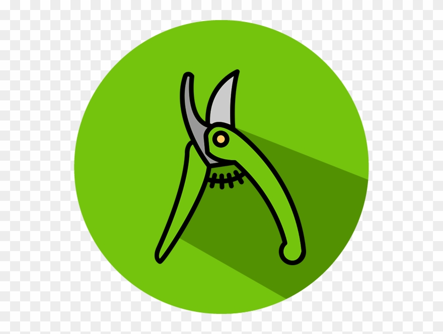 Enero Clipart