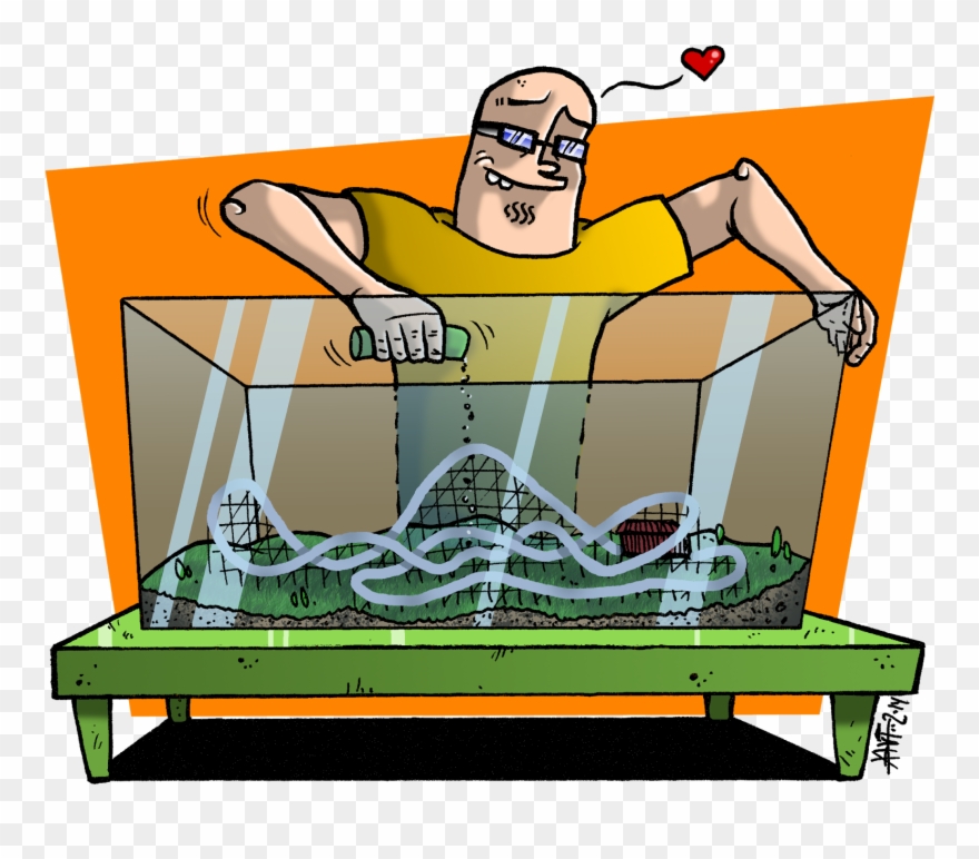 Hasta Ahora Hemos Seguido A Través Del Blog El Crecimiento Clipart