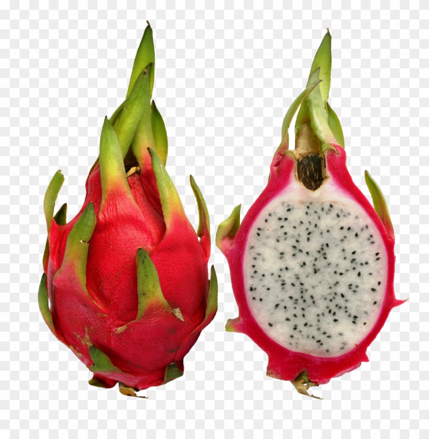 Clip Art Jugo De Hylocereus Undatus - Png Download