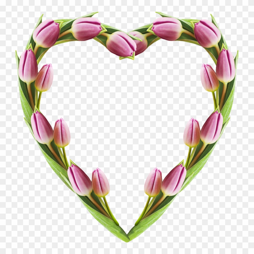 Фотки Cuori Rosa, San Valentino, Clip Art, Romanticismo - Png Download