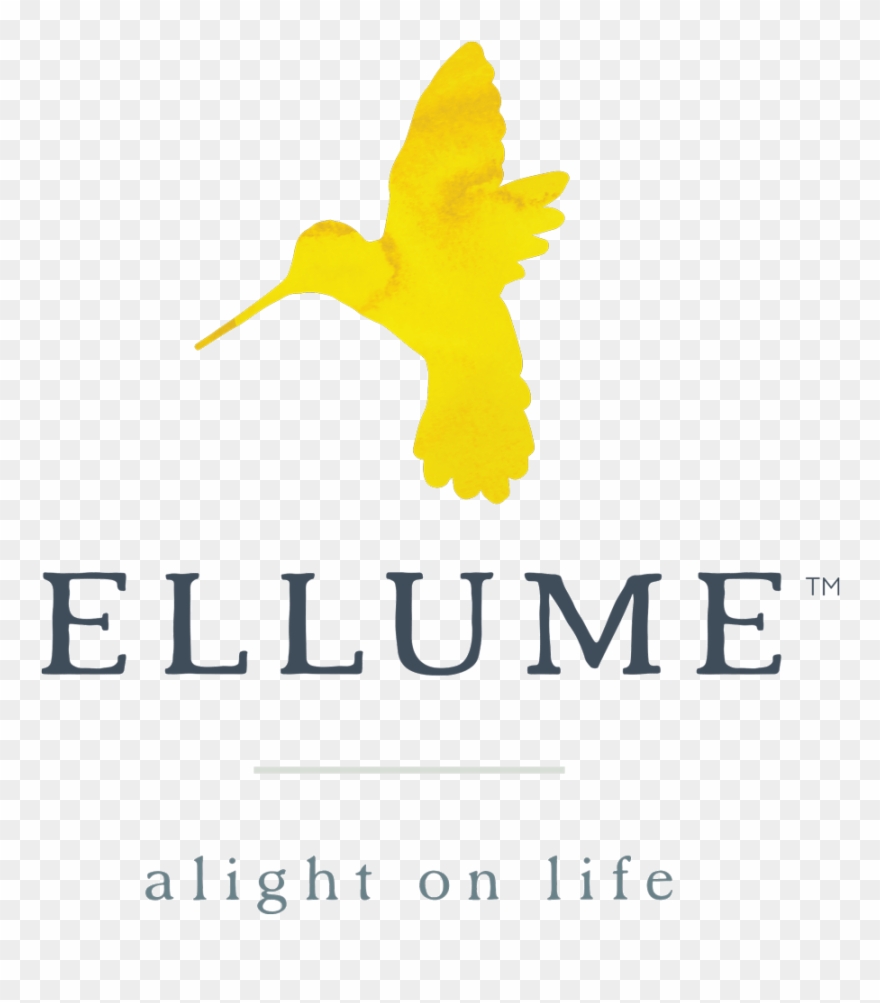 The Sustainable And Not So Sustainable Facts About Clipart