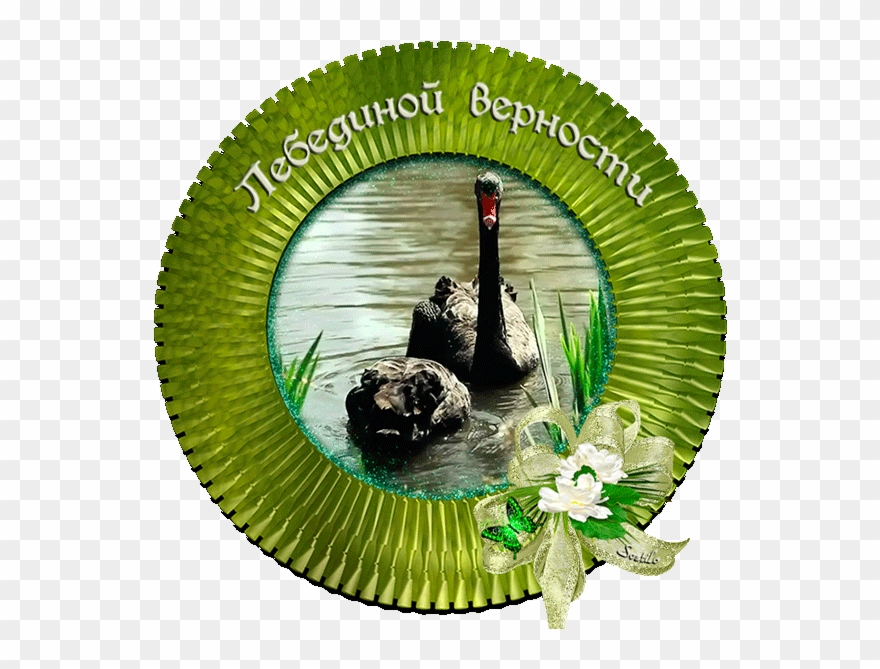 Красивые Гифки Пожелания В Картинках Clipart