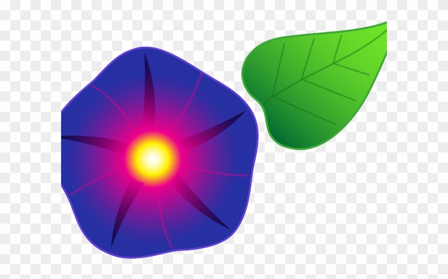 Morning Glory Clipart Black And White - Png Download