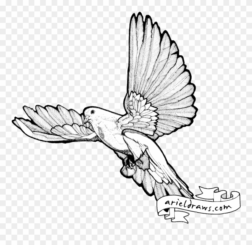 Custom Inquiries Clipart