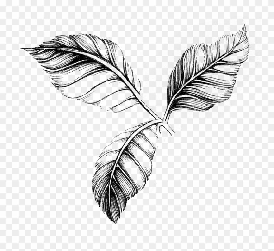 Rosewater & Pink Peppercorn Hydrating Hand Cream Therapy Clipart