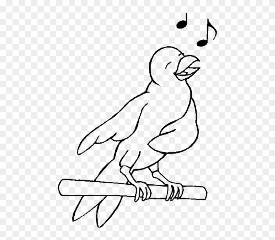 Sing Cheerfully Birds Coloring Pages Clipart