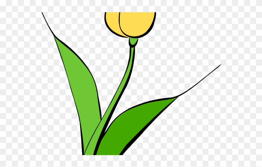 Tulip Clipart Yellow Tulip - Png Download
