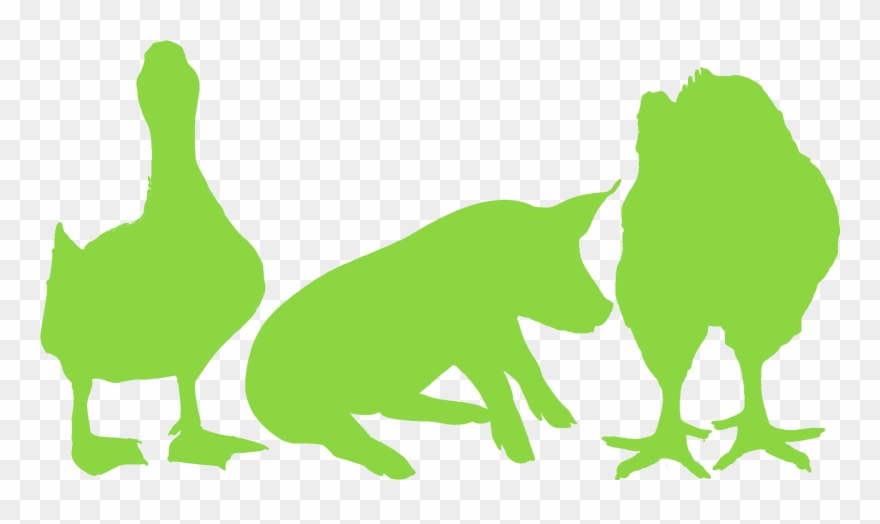 Export In Asian Country 20 % Clipart