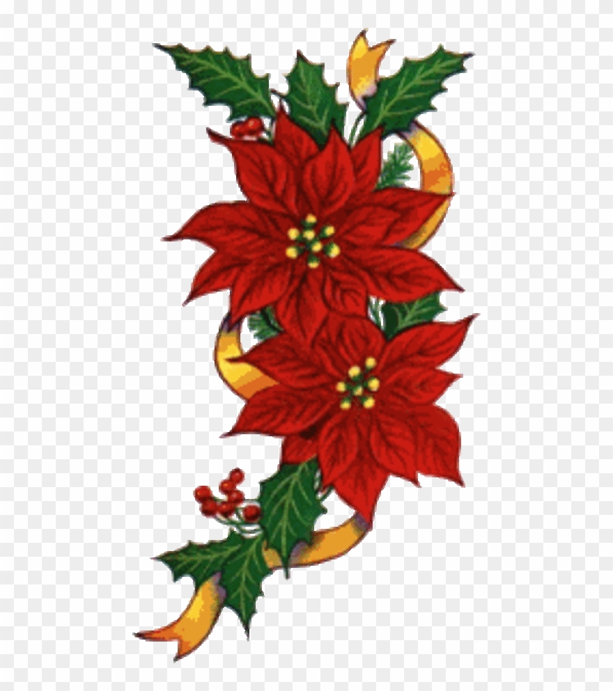 Fleurs De Noël / Clipart