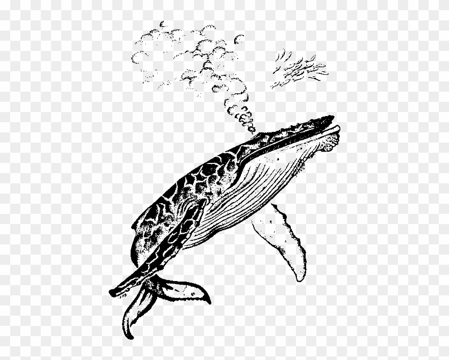 Sources - Http - //ny-image2 - Etsy - Com/il 430xn Clipart