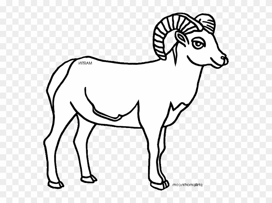 Clipart Of Big, Ram And Horn - Png Download