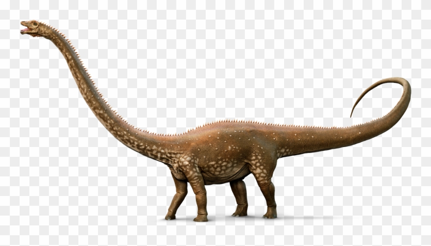 Steam Community Guide The Real Animals Of Ark Clipart