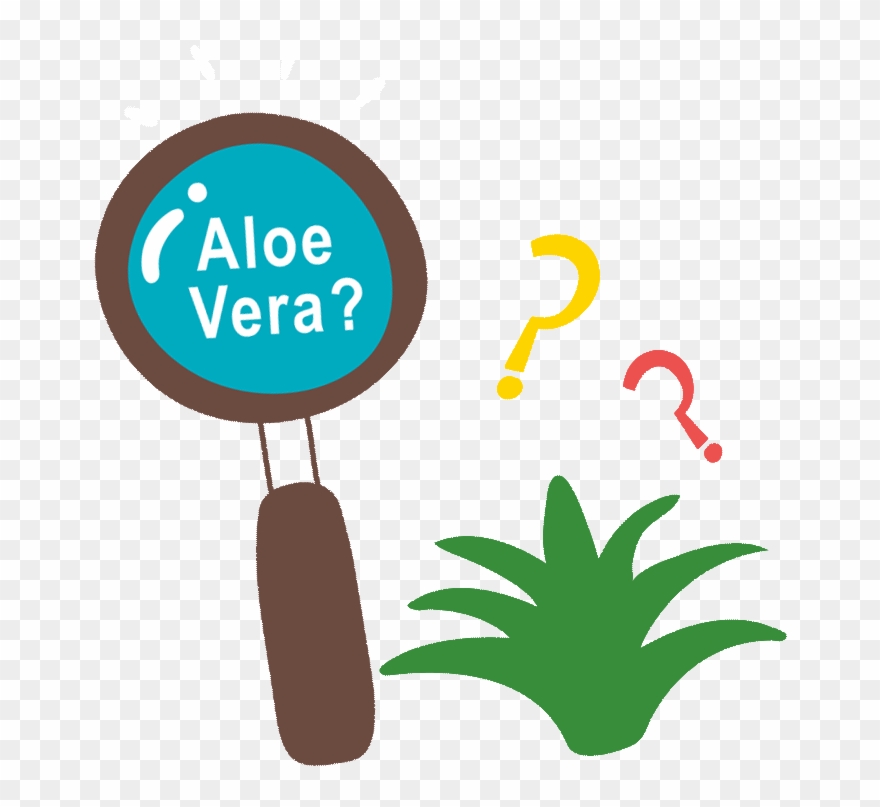 Alo Story Drink Alostory Clipart