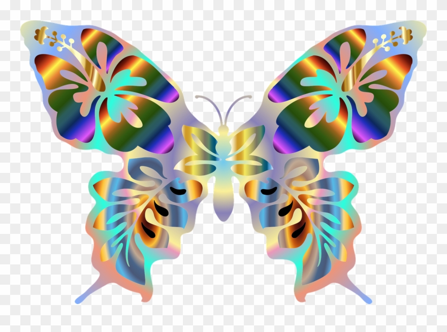 Abstract Animal Art Butterfly Png Image Clipart