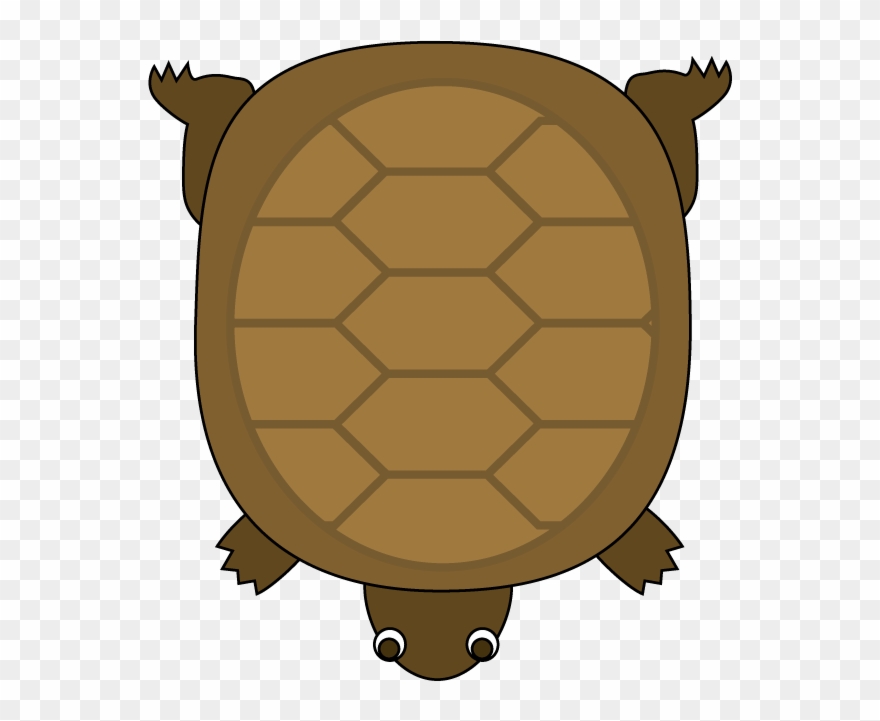 Sea Turtle Clipart - Png Download