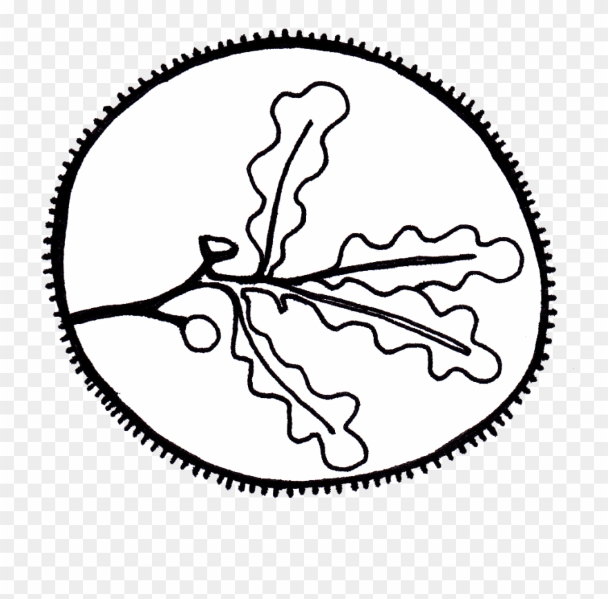 Buy Oak Leaf Coin Ring Clipart