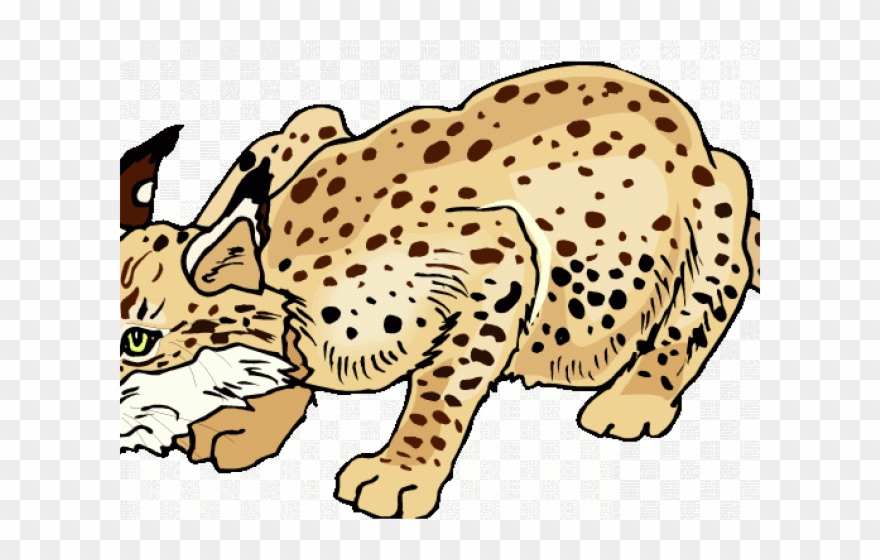 Bobcat Clipart Transparent - Png Download