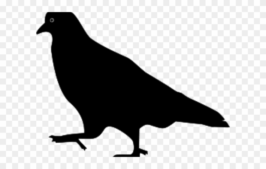 Pigeon Clipart Silhouette - Png Download