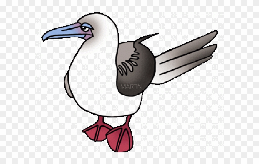 Brds Clipart Sea Bird - Png Download