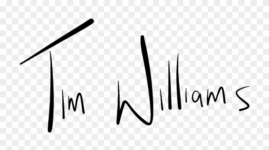 New York City Landscapes New Zealand Wedding Photographer Clipart