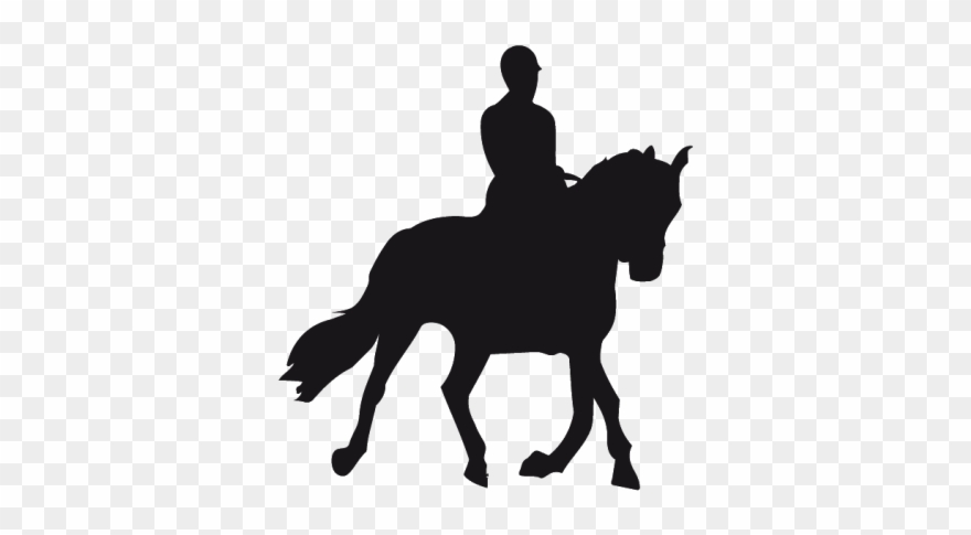 Sticker Cheval Et Cavalier Clipart