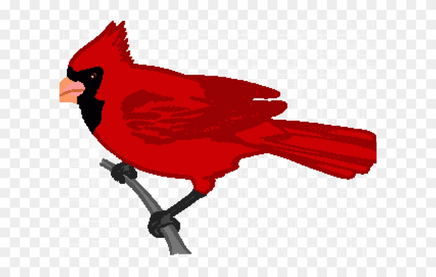 Cardinal Clipart Two - Png Download