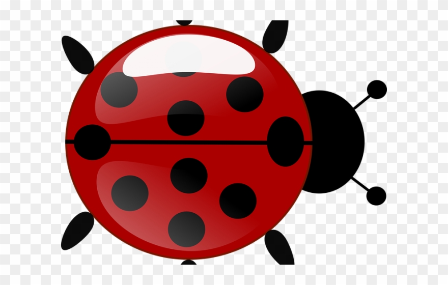 Ladybug Clipart Transparent Background - Png Download