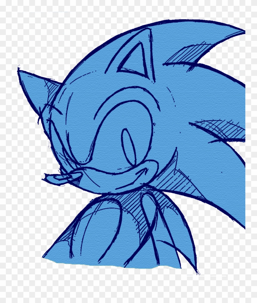 Sonic The Hedgehog 2 Fish Mammal Vertebrate Head Line Clipart