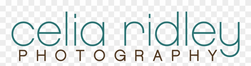 Celia Ridley Photography Clipart