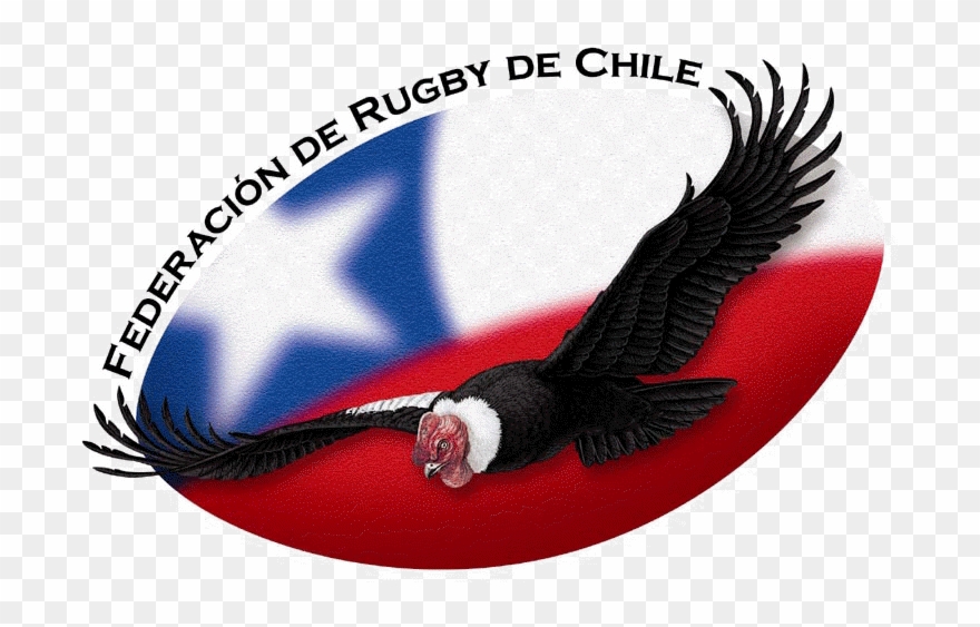 Francisco De La Fuente Signs For Auch Clipart