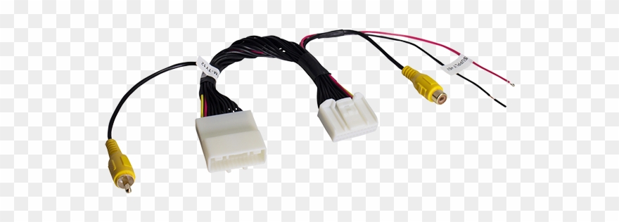 Reverse Camera Harness Clipart
