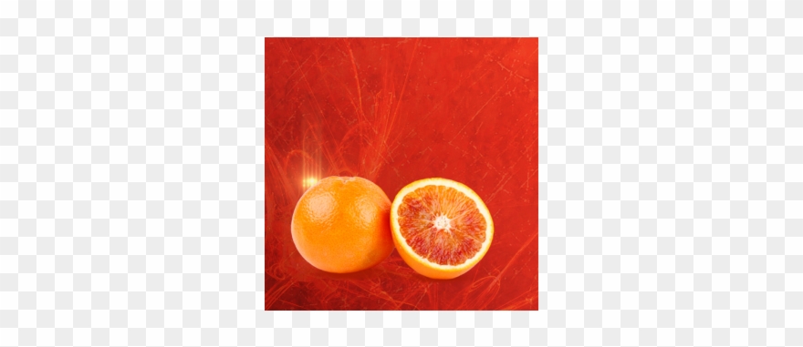 Orange Sanguine Clipart