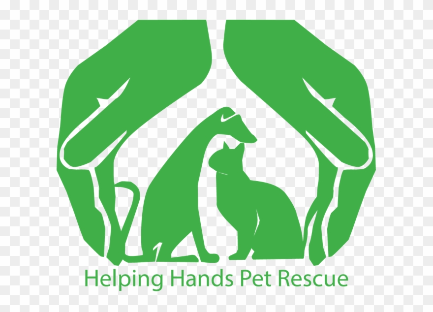 Logo Had To Be Resized By Hand Using Adobe Illustrator Clipart