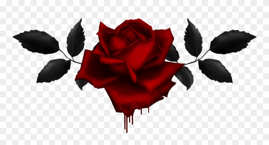 Red Rose Clipart Purple - Png Download