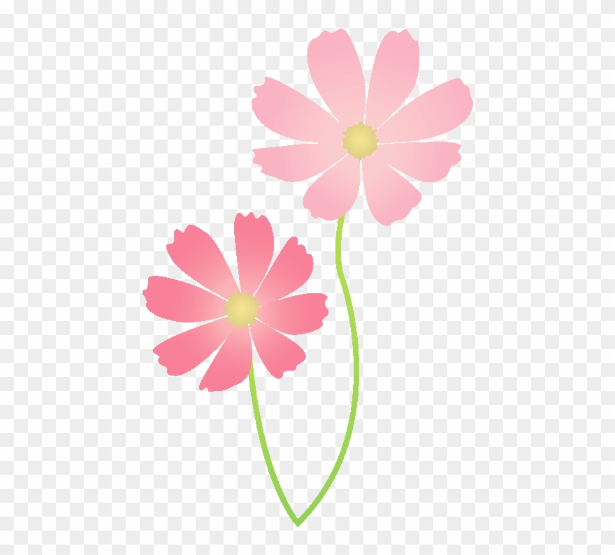 256 秋桜／コスモ - Clipart