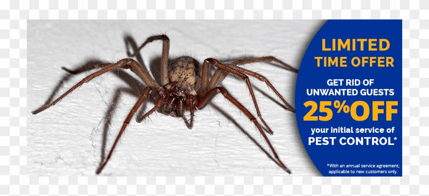 Pest Control Companies Shelburne Falls Ma Clipart