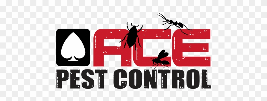 Best Plumbing In West Hollywood Ca Clipart