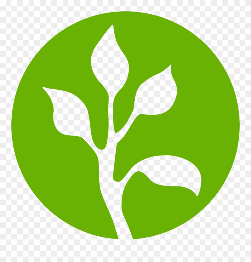 Indianapolis Landscape Design Company Clipart