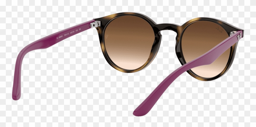 Keyhole Round Sunglasses In Havana Violet Clipart