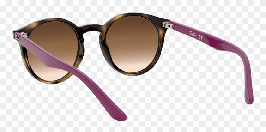 Keyhole Round Sunglasses In Havana Violet Clipart