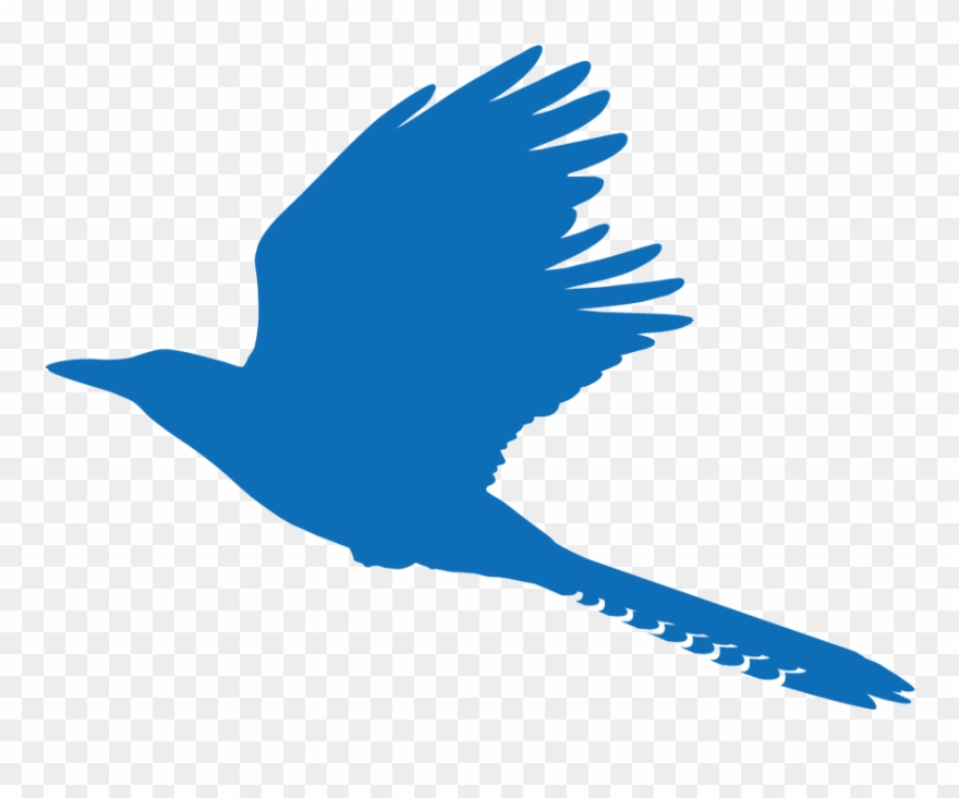 Booking Page Top Clipart