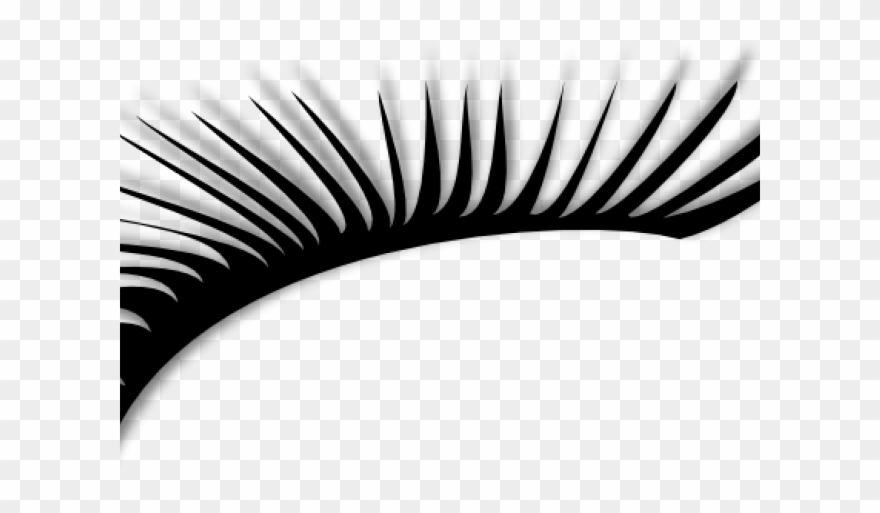 Eyelash Clipart Realistic - Png Download