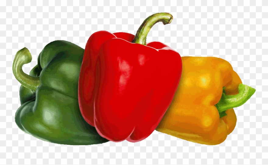 Clipart Resolution 1062*827 - Png Download