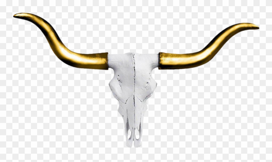 Mini Faux Texas Longhorn Cow Skull Wall Hanging Sculpture Clipart