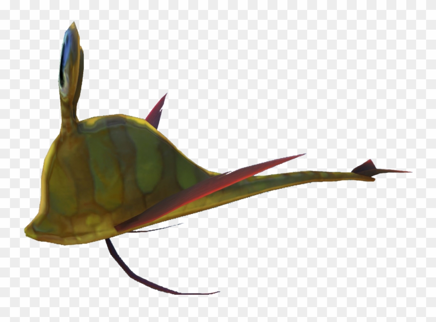 Ignore The Peepers Because They Are Fast, Get The Bladderfish(airsack Clipart