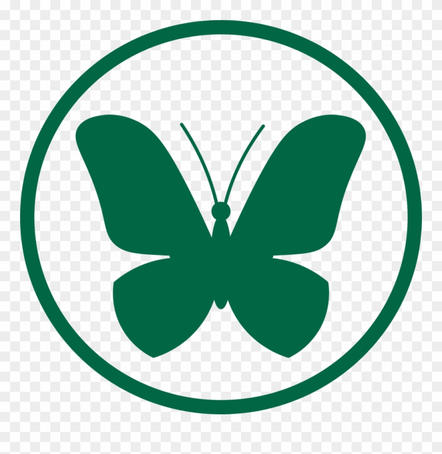 Butterfly Circle $500 Clipart