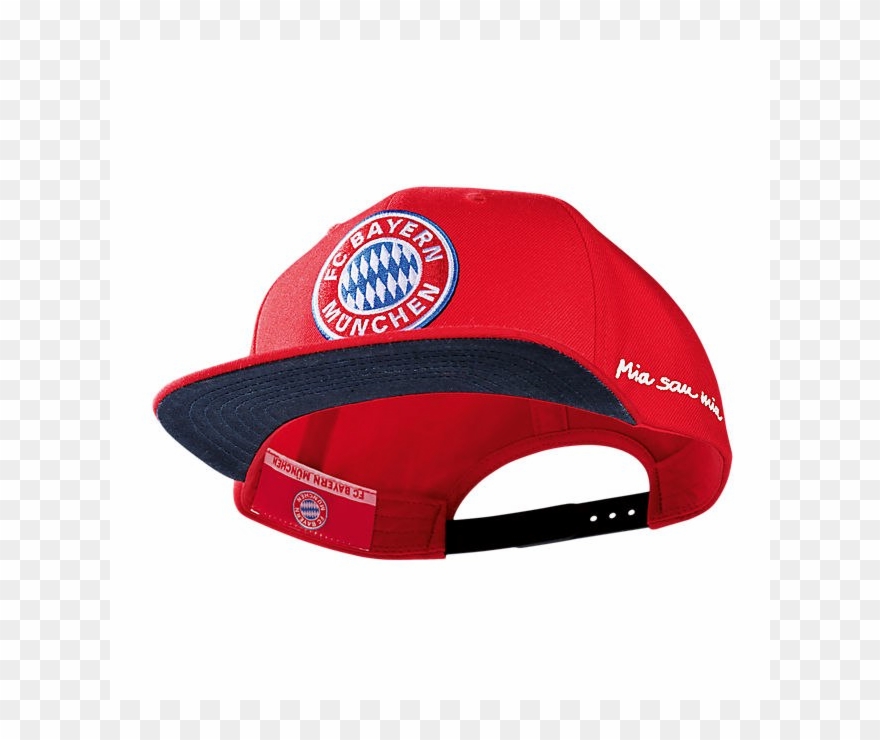 Baseballcap Snapback Logo Clipart