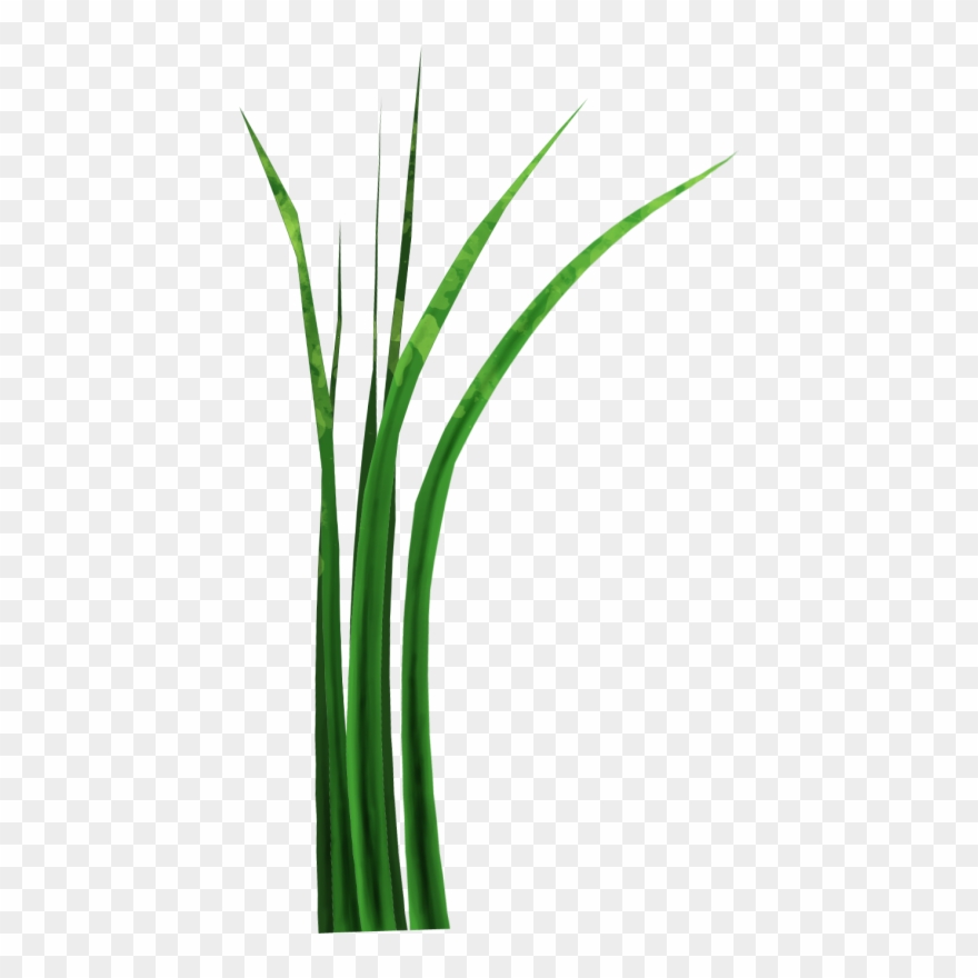 Вторник, 26 Февраля 2013 Г Clipart