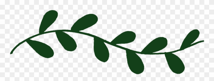 Mei Lin Barral Photography Clipart