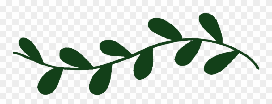 Mei Lin Barral Photography Clipart